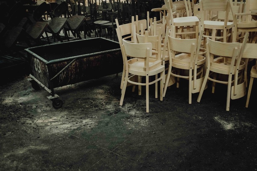 Fabryka Mebli Fameg "od kuchni". Tak w Radomsku powstają krzesła, które zna cały świat. Zobacz ZDJĘCIA!