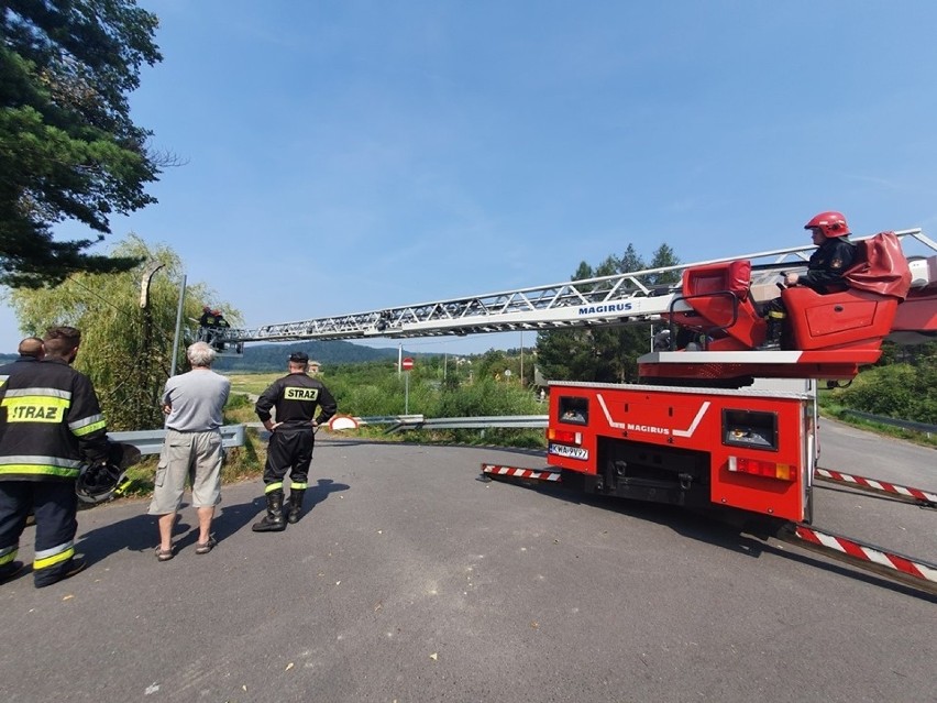 Interwencja strażaków przy drodze nad Jeziorem Mucharskim