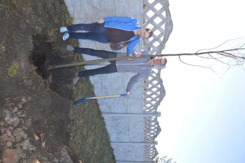 Wielka akcja sadzenia drzew w Szczańcu. Każdy mieszkaniec mógł zasadzić swoje drzewo, a także je nazwać [zdjęcia]