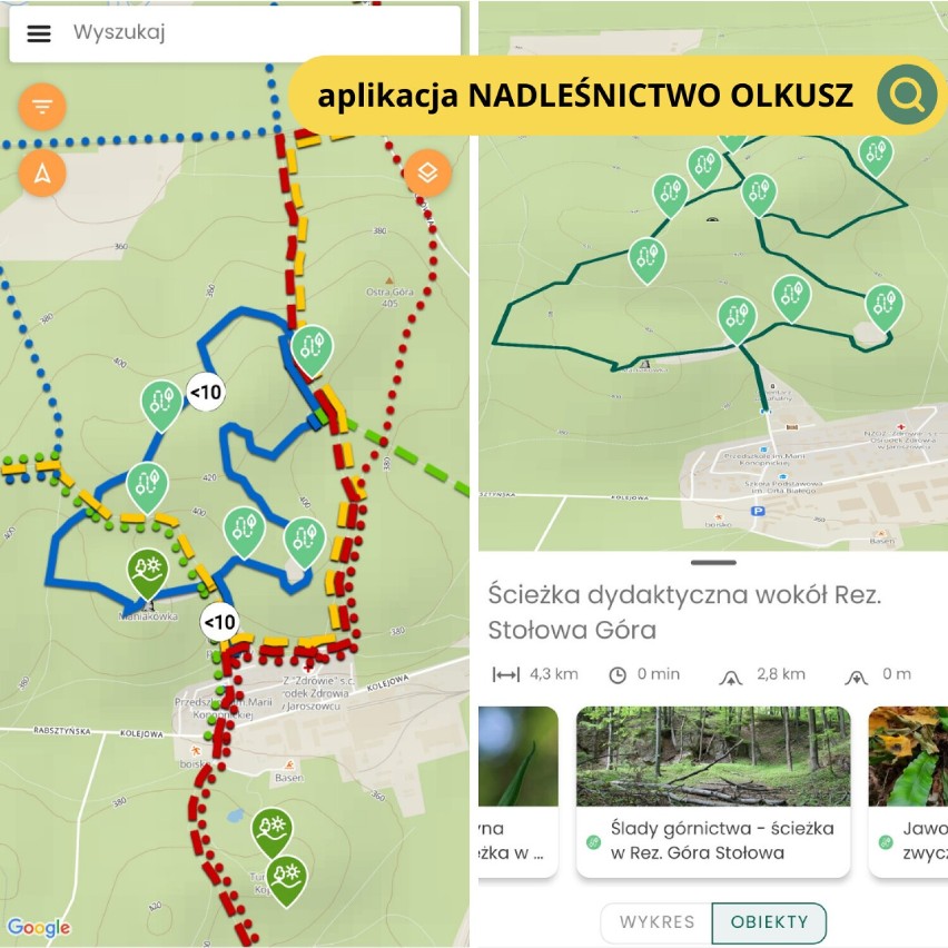 Bezpłatna aplikacja mobilna Nadleśnictwa Olkusz jest już...