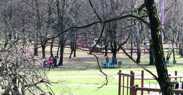 PARK GRABEK W CZELADZI
Park istnieje od lat 60. Graniczy z...
