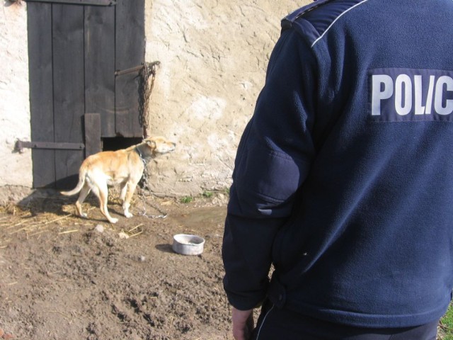 Sprawczyni może trafić do więzienia nawet na 2 lata.