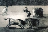 Tauromachia - niezwykła wystawa we Wrocławiu. Picasso, Goya i Dali wśród autorów wystawionych prac