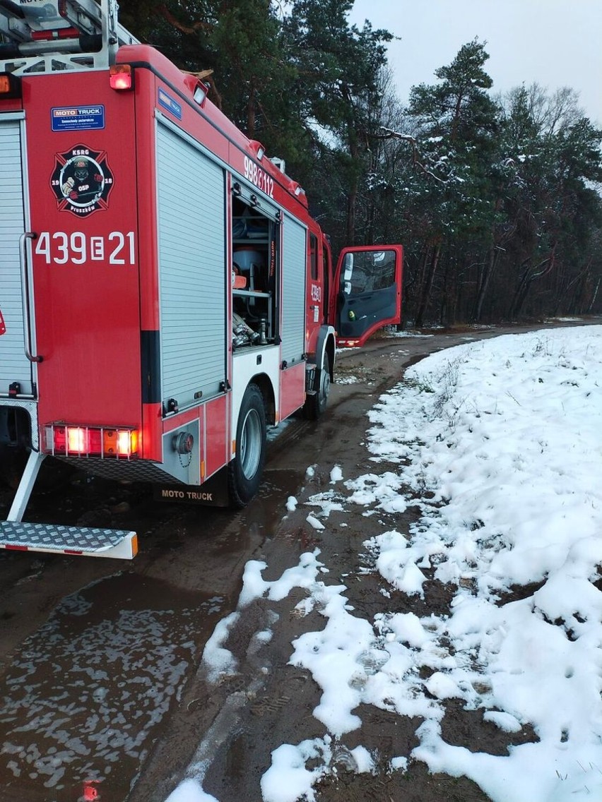 Przez mokry śnieg powalone drzewa, zerwane linie energetyczne. Strażacy w akcji