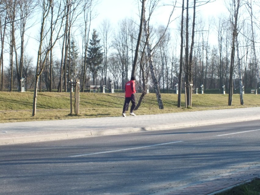 Zamość i okolice: Poszukajcie z nami wiosny