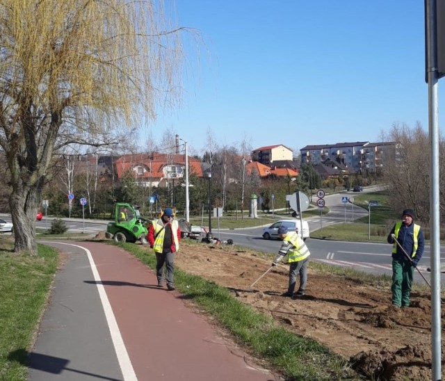 Trwają prace przy urządzaniu łąki kwietnej