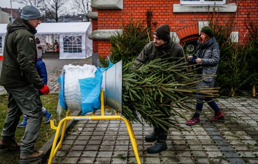 W tym roku z powodu epidemii mieszkańcy Trójmiasta i...