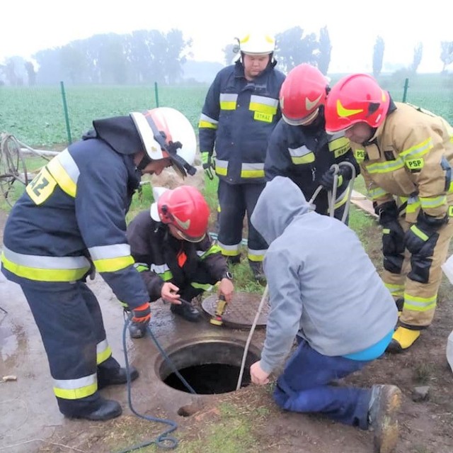 Strażacy z OSP Dobrcz nie po raz pierwszy ratowali zwierzęta. Tym razem  - psa, który wpadł do odkrytego szamba przy ul. Długiej w Kotomierzu. Strażacy OSP Dobrcz byli na miejscu pierwsi. Pies resztkami sił próbował utrzymać się na powierzchni. Strażacy OSP ze względu na brak ubrań gazoszczelnych wezwali  kolegów z JRG nr 2 z bydgoskiego Fordonu. Po trwającej ponad 3 godziny akcji udało się ocalić zwierzaka. Właściciel gospodarstwa twierdził, że  to nie jego pies. A ten cały i zdrowy, już umyty przez strażaków, przewieziony został do schroniska w Pruszczu Pomorskim. Może odezwie się właściciel uratowanego psa?