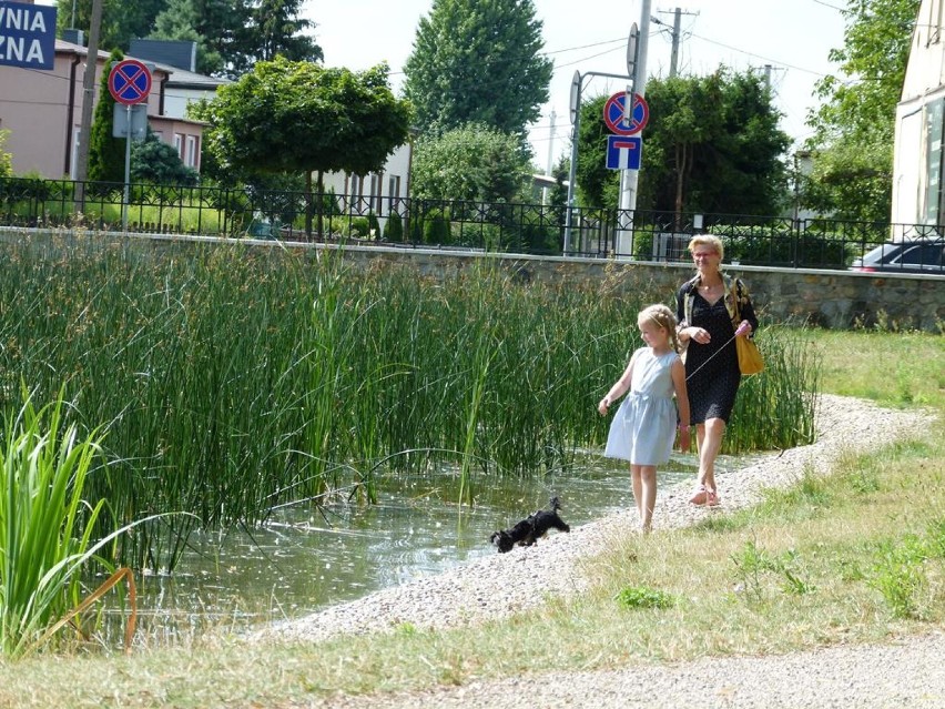 Letnie, niedzielne popołudnie w Parku Miejskim w Zduńskiej Woli