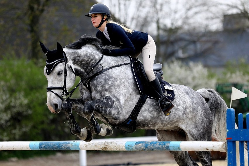 Zawody CSI2* Bogusławice 2021 w skokach przez przeszkody....