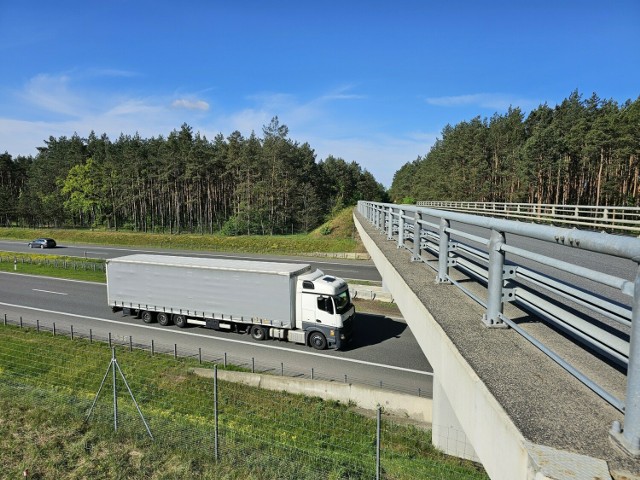 Wiadukt nad autostradą A1 między Złotorią a Nową Wsią będzie zamknięty dla ruchu kołowego i ruchu pieszych od godziny 11 we wtorek 7 maja. Jego otwarcie po remoncie jest planowane na koniec maja