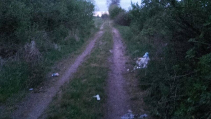 Kolejne "dzikie wysypisko" śmieci w powiecie chodzieskim - tym razem w okolicach Sokołowa [ZDJĘCIA]