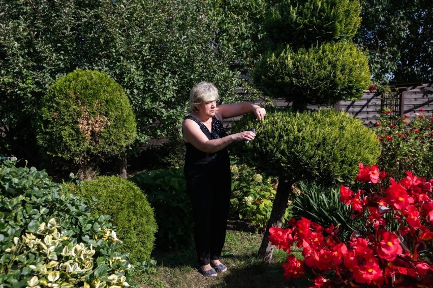 Pani Krystyna Boros o ogród dba wspólnie z mężem Tomaszem. W...