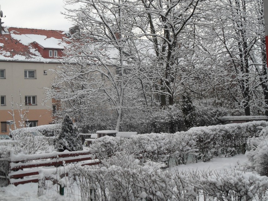 Bytom przyspany śniegiem. Zima przyszła