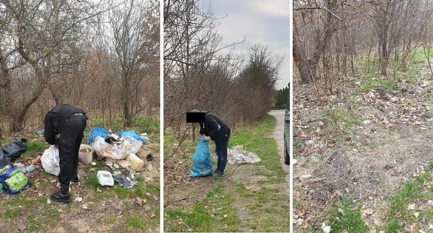 Podrzucone śmiecie wróciły do właściciela wraz z mandatem. Skuteczna Straż Miejska w Starachowicach