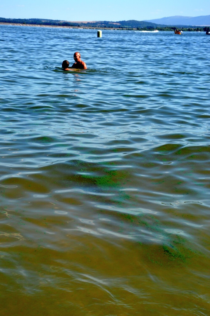 Zamknięte kąpielisko na Jeziorze Nyskim. Przy plaży w...