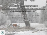 Nadleśnictwo Durowo zaprasza do udziału w konkursie fotograficznym "Las w moim obiektywie - zimowy las" 
