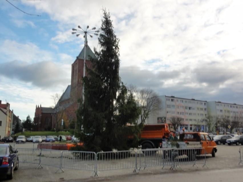 Choinka w Sławnie: Stawiają drugi raz drzewko na placu [ZDJĘCIA]