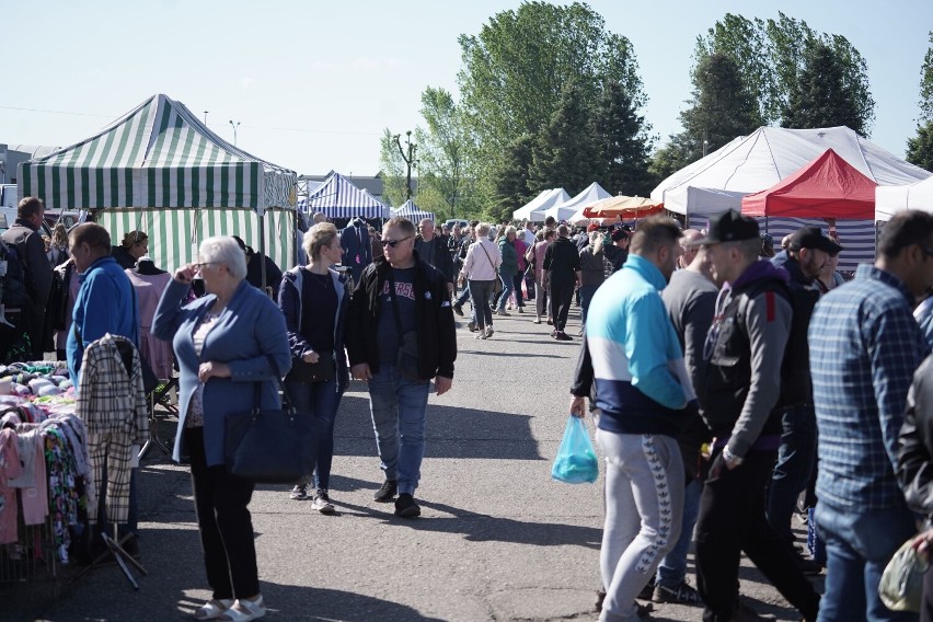 Tłumy na Pchlim Targu we Włocławku - 15 maja 2022