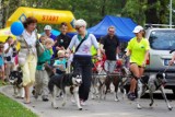 Puchar Polski w Dogtrekkingu, czyli bieg na orientację z psem