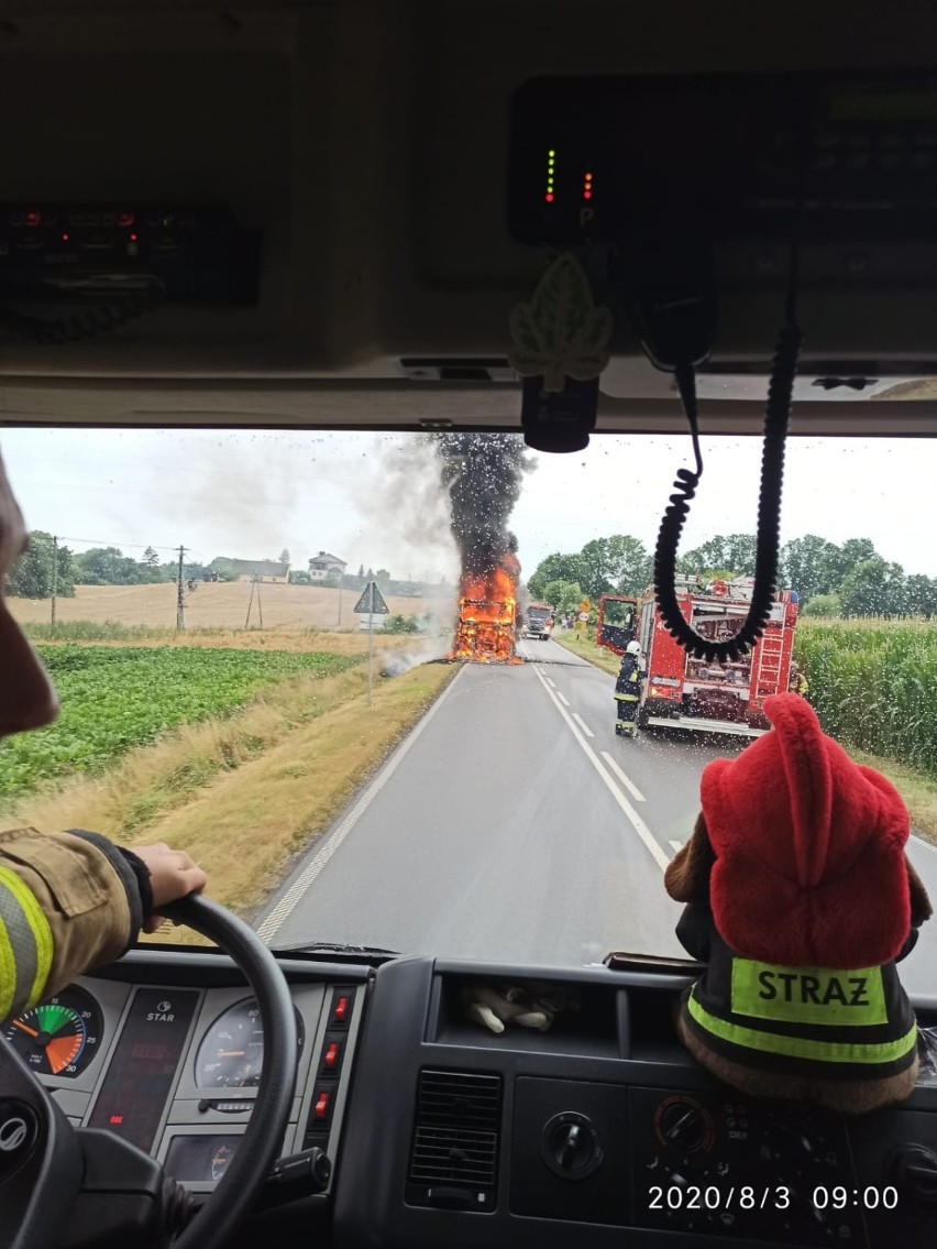 Pożar ciężarówki w Pokrzywnie pod Grudziądzem [zdjęcia]