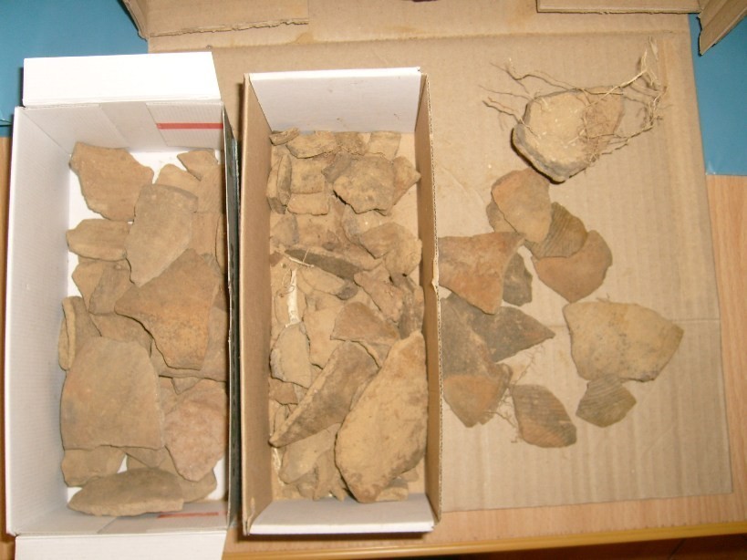 Fragmenty naczyń trafiły do kolskiego muzeum
