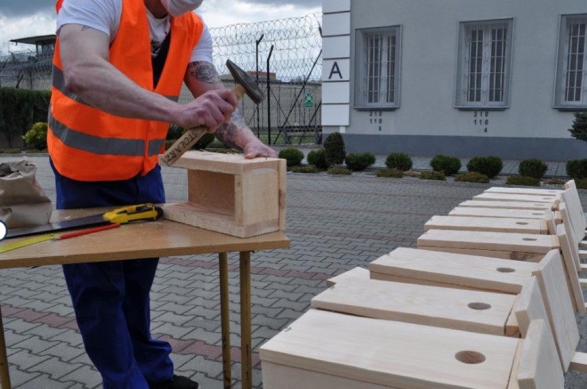 Krasnystaw. Skazani z krasnostawskiego aresztu zrobili drewniane budki lęgowe dla ptaków. Zobacz zdjęcia