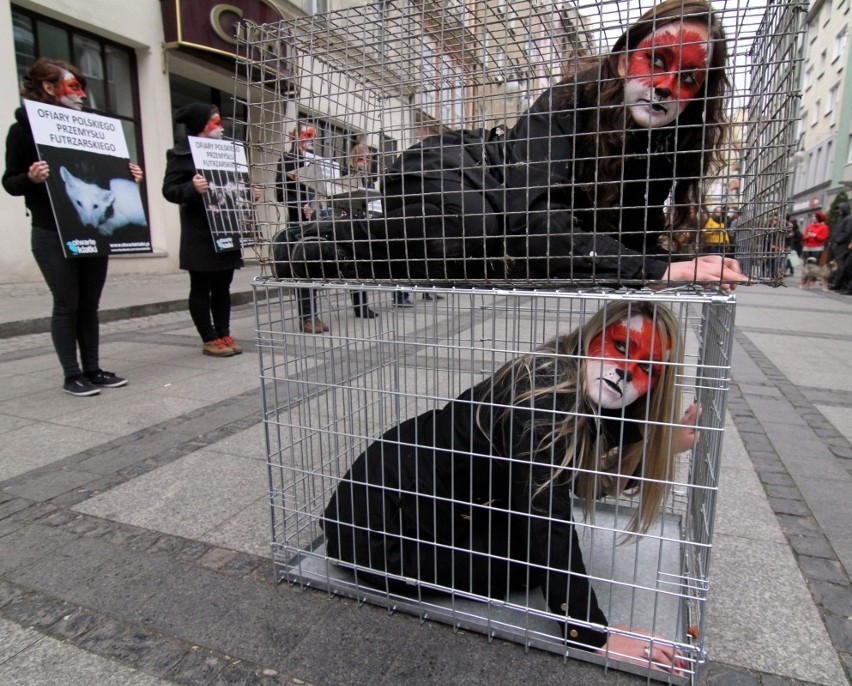 Wrocław: Protestowali przeciw hodowli zwierząt na futra (ZDJĘCIA)