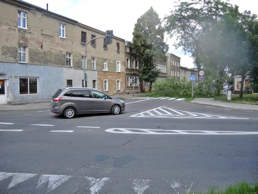 Ul. Wojska Polskiego. Konar spadł na jezdnię. Zarząd dróg zapowiada tam gruntowny przegląd drzew