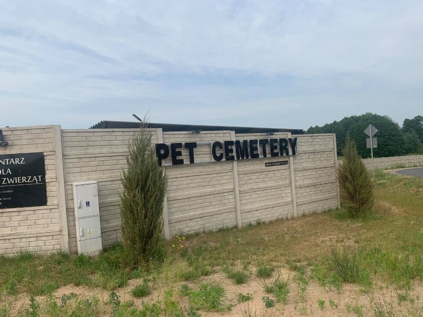 WRZEŚNIA: Cmentarz dla zwierząt domowych przy zjeździe do Nekielki. Kremacja i pochowek zwierząt. Ile to kosztuje? [GALERIA]