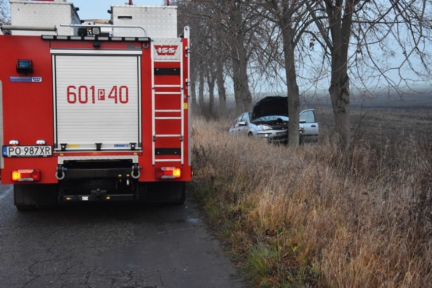 Auto uderzyło w drzewo na trasie Manieczki - Boreczek