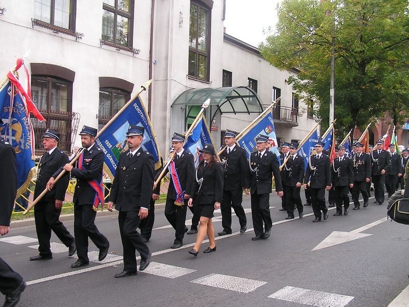 Dożynki 2012 w Dąbrowie Górniczej  [ZDJĘCIA]