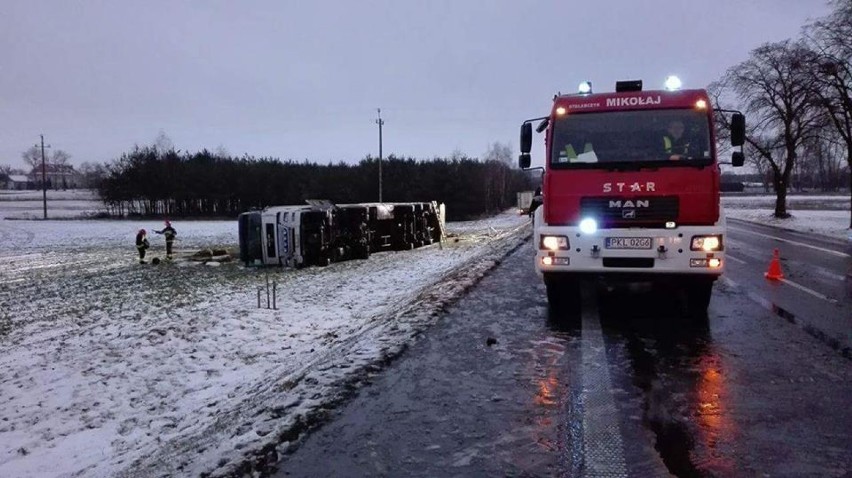 Wypadek w Krzykosach. Przewrócił się tir przewożący trzodę chlewną