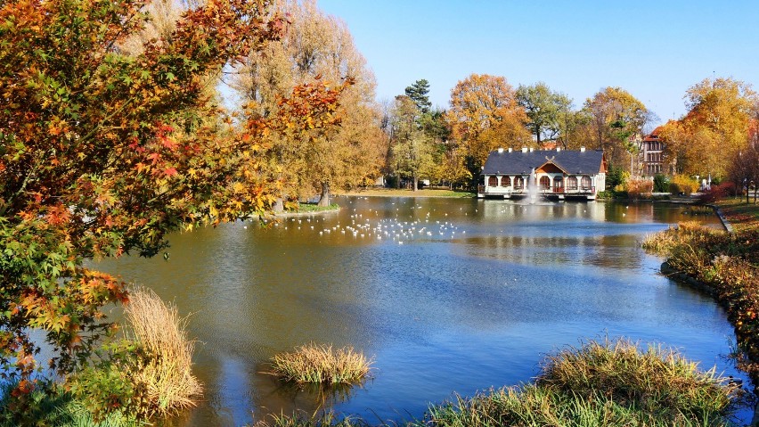 Wenecja to restauracja nad Kozim Stawem. Nazwa restauracji...