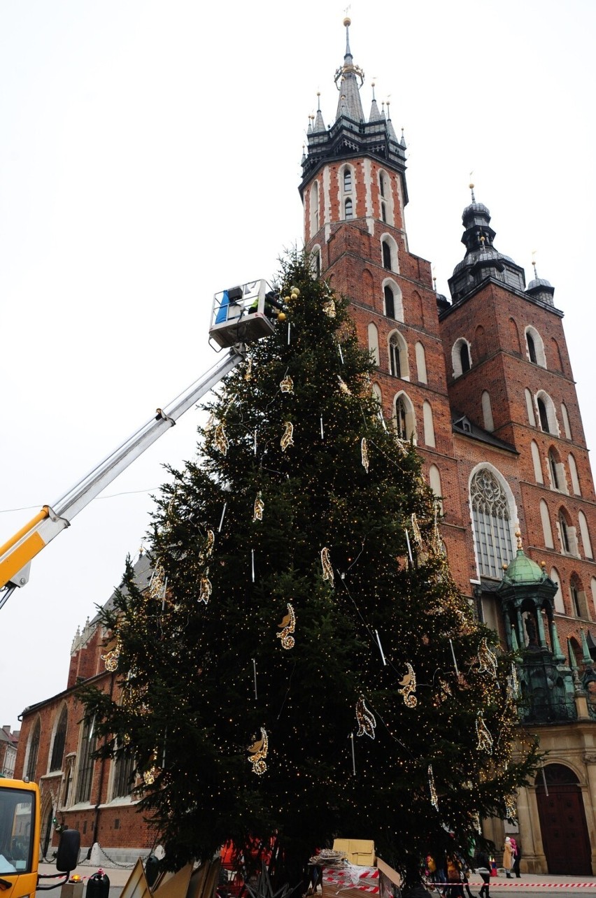 Na Rynku Głównym już prawie gotowa choinka. Rozbłyśnie 3. grudnia