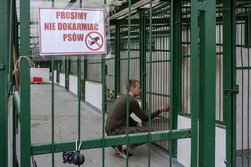 Schronisko dla bezdomnych zwierząt w Toruniu po remoncie