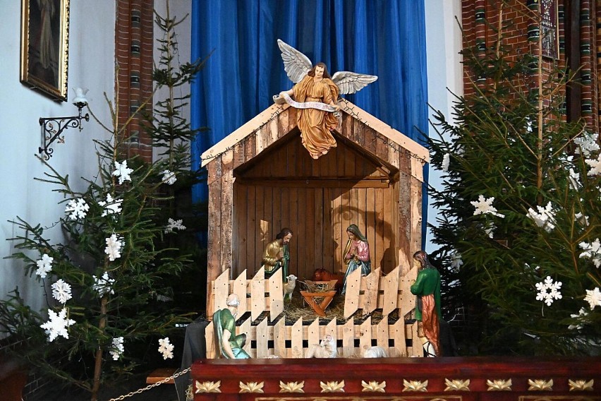 Wałbrzych: Szopka bożonarodzeniowa w Kolegiacie  Aniołów Stróżów