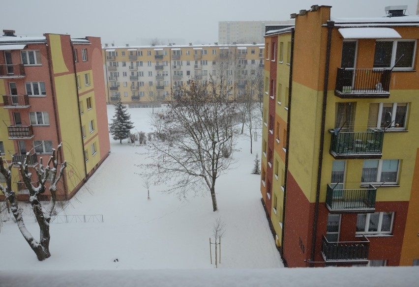 Zima 2021 w Bełchatowie
