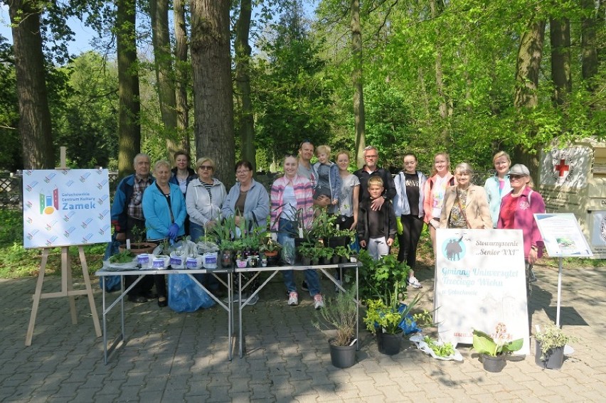 GCK "Zamek" połączyło siły ze Stowarzyszeniem Seniorzy XXI Gminny Uniwersytet Trzeciego Wieku i w stolicy gminy wspólnie posprzątali lasek koło cmentarza, a na parkingu przygotowali stoisko wymiany sadzonek ziół i kwiatów