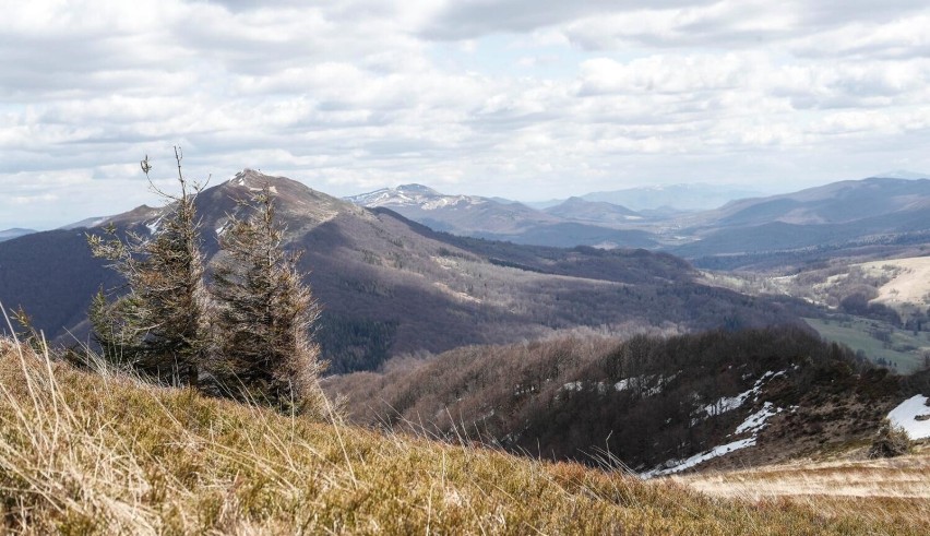 Wycieczka w Bieszczady na 4 dni: ile za wakacje zapłaci...