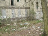 Patrol ekologiczny: zgłoszenie Czytelnika - śmieci od lat zalegają w pobliżu ronda Gierka w Sosnowcu