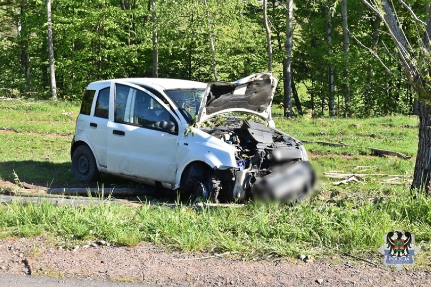 Zjechał z drogi, przebił się przez płot i uderzył w drzewo