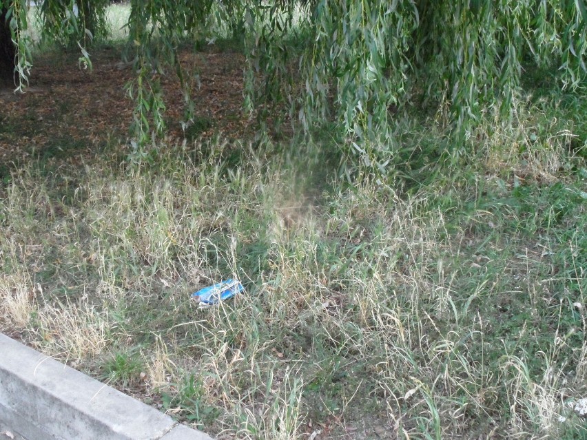 Śmieci przed szpitalem w Żorach, ale nie tylko