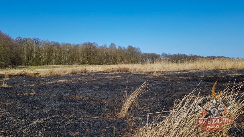 Strażacy walczą z pożarami traw ZDJĘCIA           