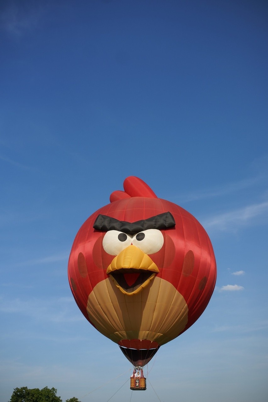 Angry Bird wzniósł się na krakowskimi Błoniami.