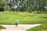 Pola golfowe Bytom - Szombierki, lipiec 2014