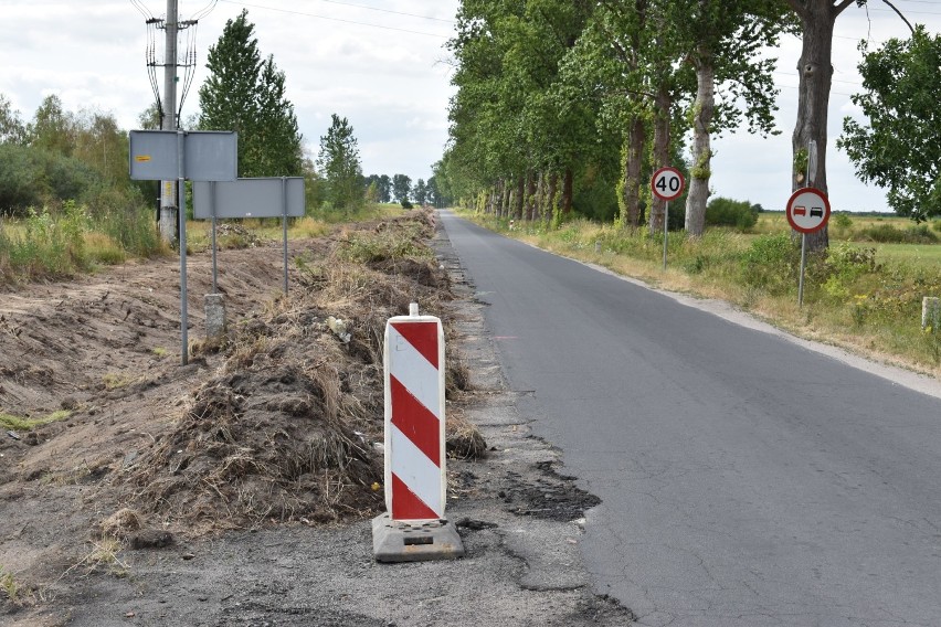 Po drzewach wzdłuż drogi powiatowej pomiędzy Maszewem a...