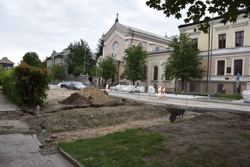 Na razie zniknęła tylko niewielka część żywopłotu przy ul....