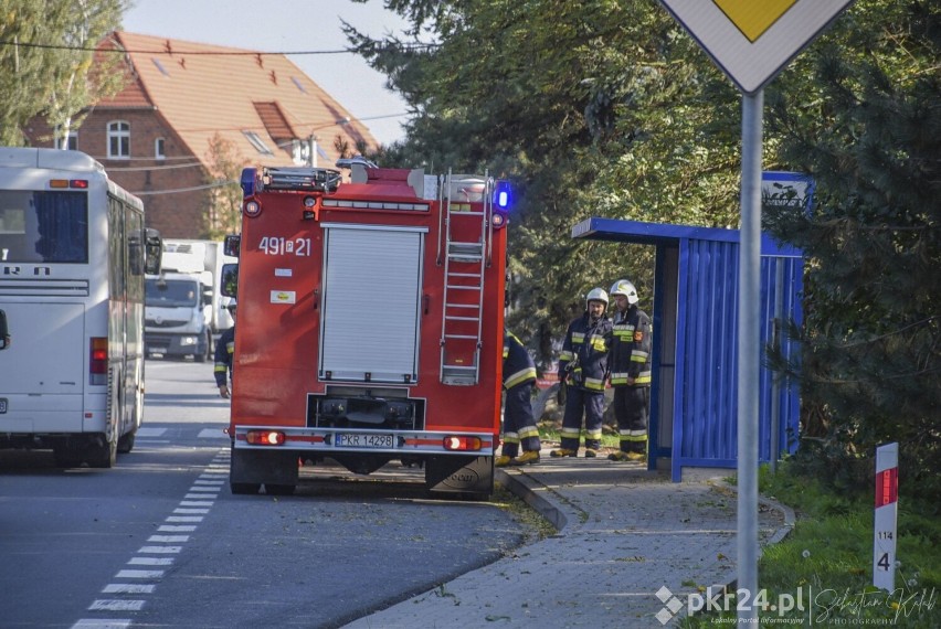 Strażacy znów w akcji! Tym razem w Lutogniewie [ZDJĘCIA]