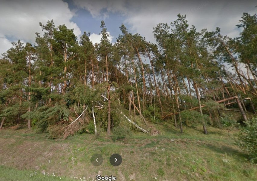 Rogowo (powiat żniński) w Google Street View. Poszukajcie się na zdjęciach! [zdjęcia]